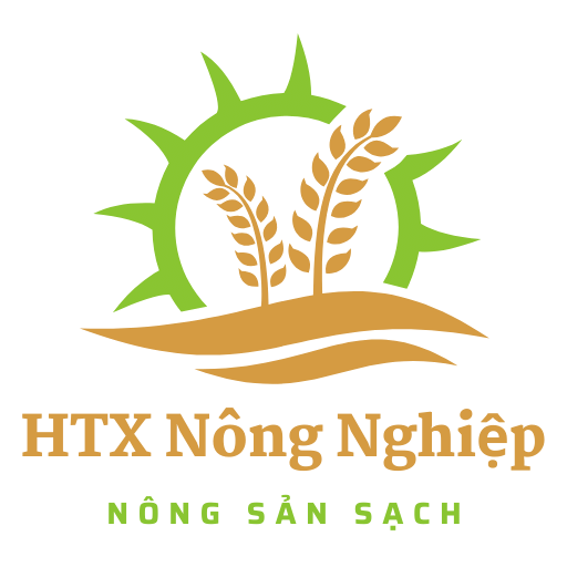 Nông sản sạch – HTX Nông nghiệp
